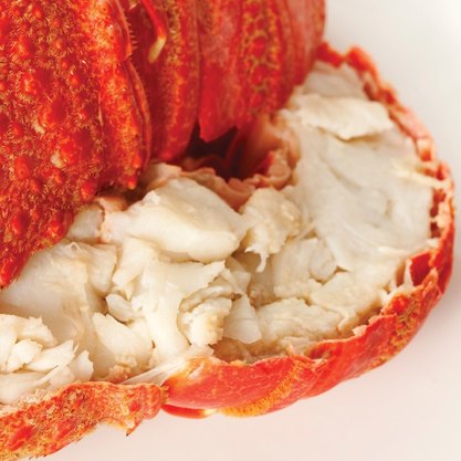 Cooked lobster with golden seasoned shell, premium seafood item ideal for catering trays and celebration dining.